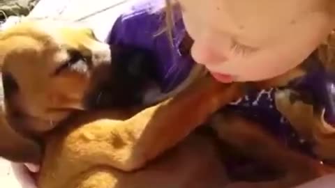 Cute Girl Taking Care of dog