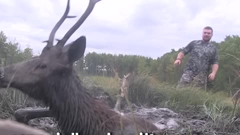 Hunters Drops Their Weapons to Help an Animal in Need--follow us please