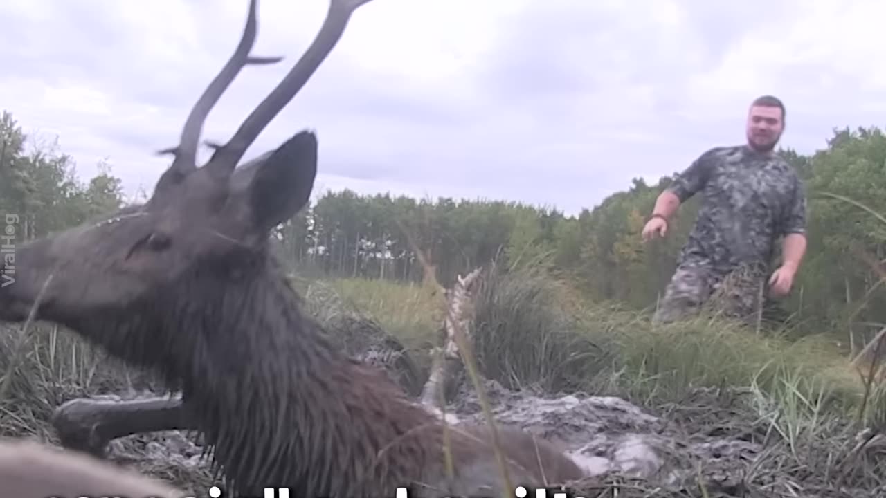 Hunters Drops Their Weapons to Help an Animal in Need--follow us please