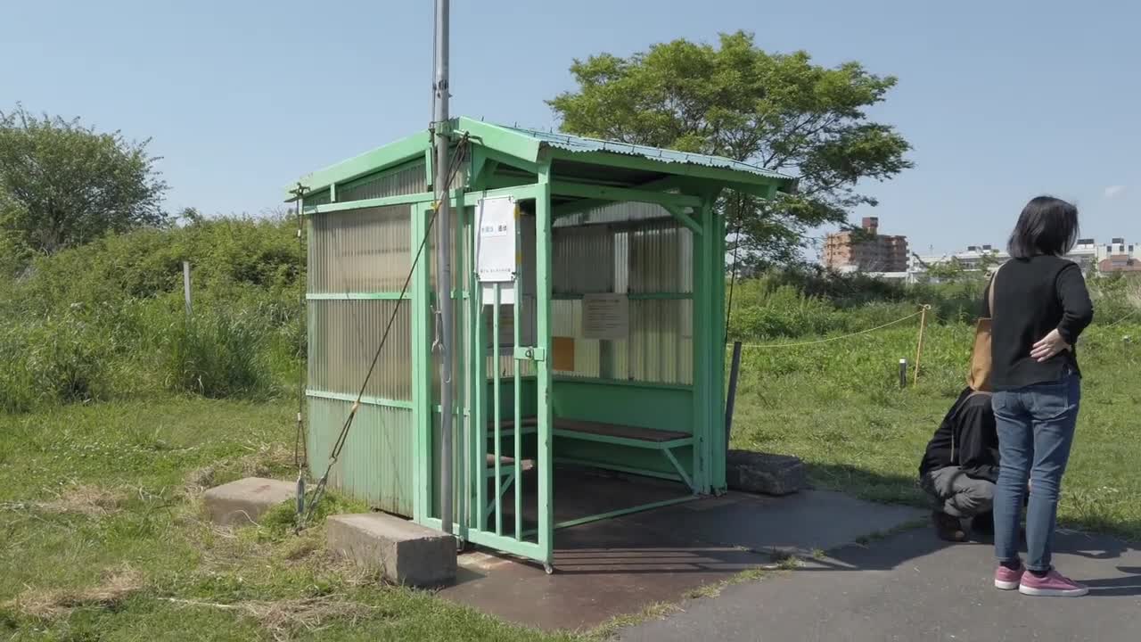 Ferryboat offers escape from the hustle of daily life - The Japan News