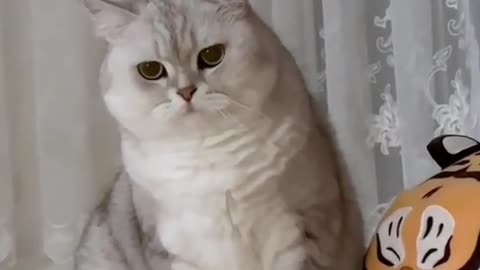 Are you forgetting something I haven’t eaten yet 😡