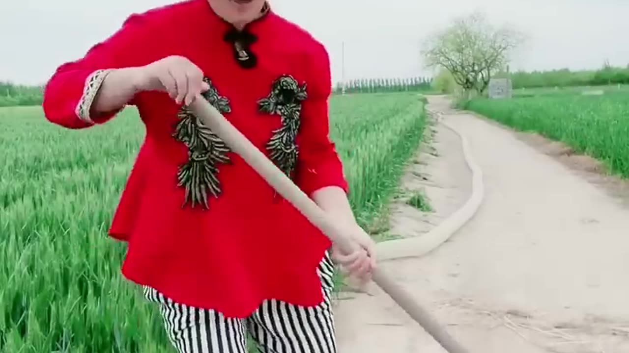 Funny video funny video 2023