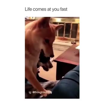 That look at the end.