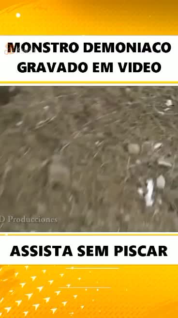 DEMONIC MONSTER RECORDED ON VIDEO WATCH WITHOUT BLINKING WATCH THE VIDEO AND SHARE