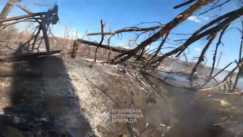 Intense Footage from the Frontlines Near Bakhmut