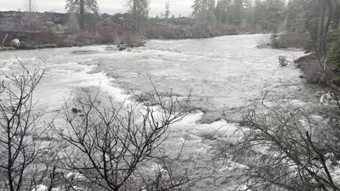 Spectacular Ecological Zone – Deschutes River Trail – Central Oregon – 4K