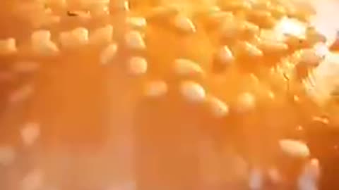 American Bread is Not Bread