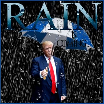 Through The Storm - Memetics