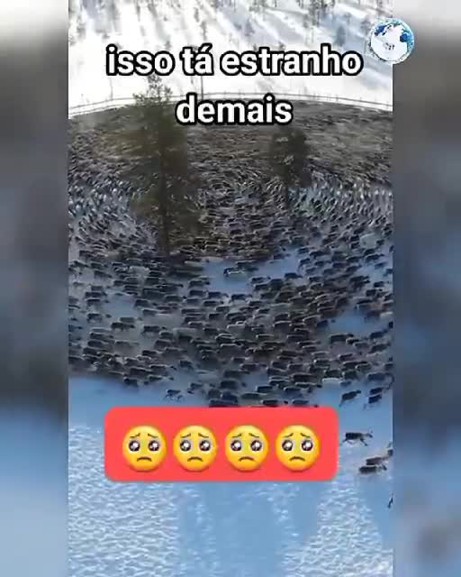 THIS VIDEO IS CIRCULATION ON ALL SOCIAL NETWORKS WHAT IS HAPPENING WATCH THE VIDEO AND COMMENT