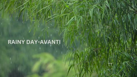 Rainy day-Avanti