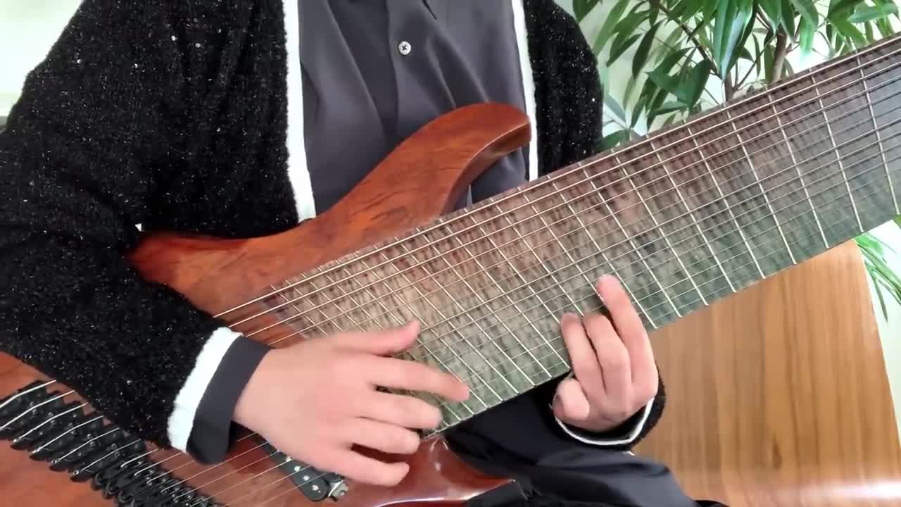 14 STRING GUITAR SOLO