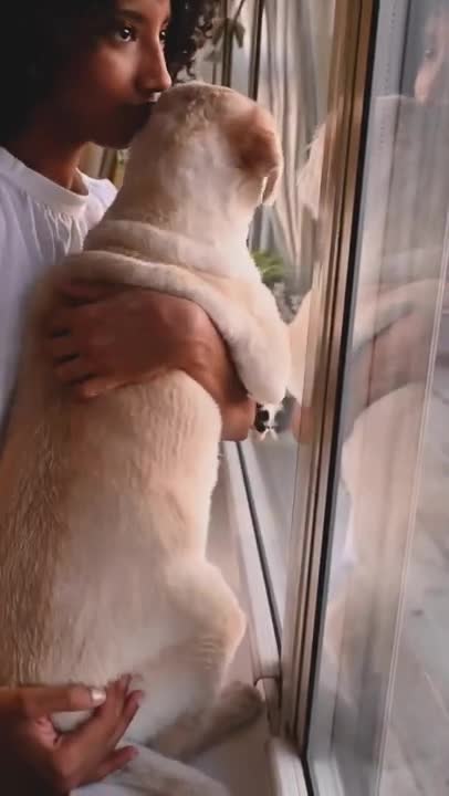 9.A Woman Standing by the Window with her Dog
