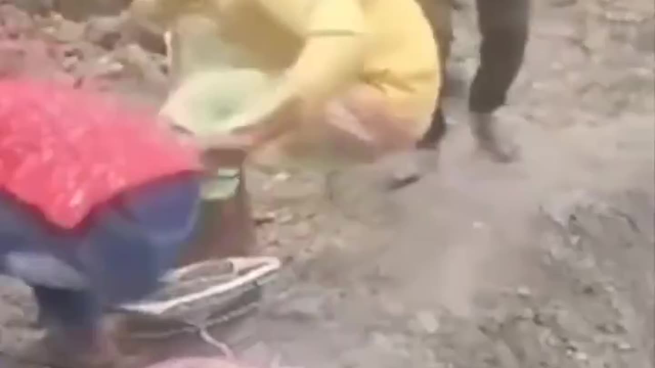 Funniest videos 😂 😂 ll