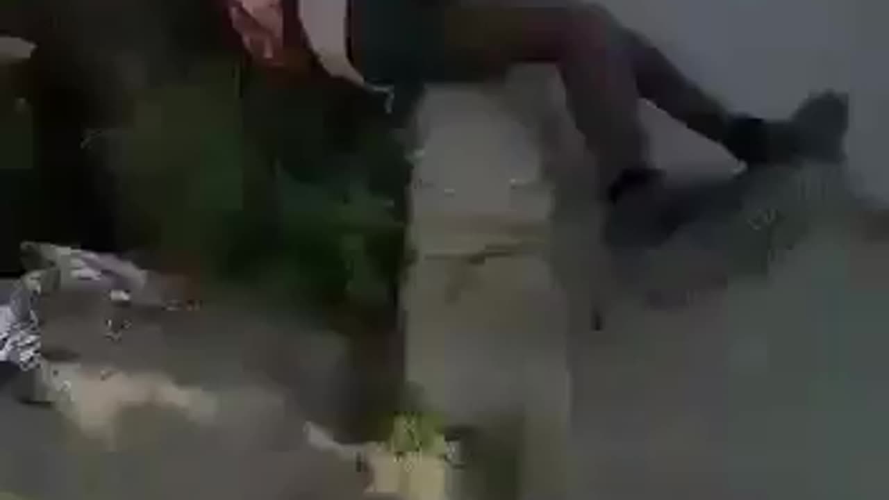 funny videos