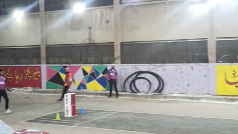Gully cricket