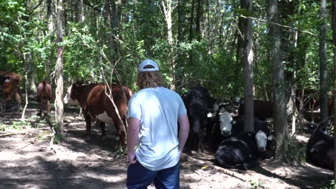 Man leaves apology note for stealing farmer's jeep