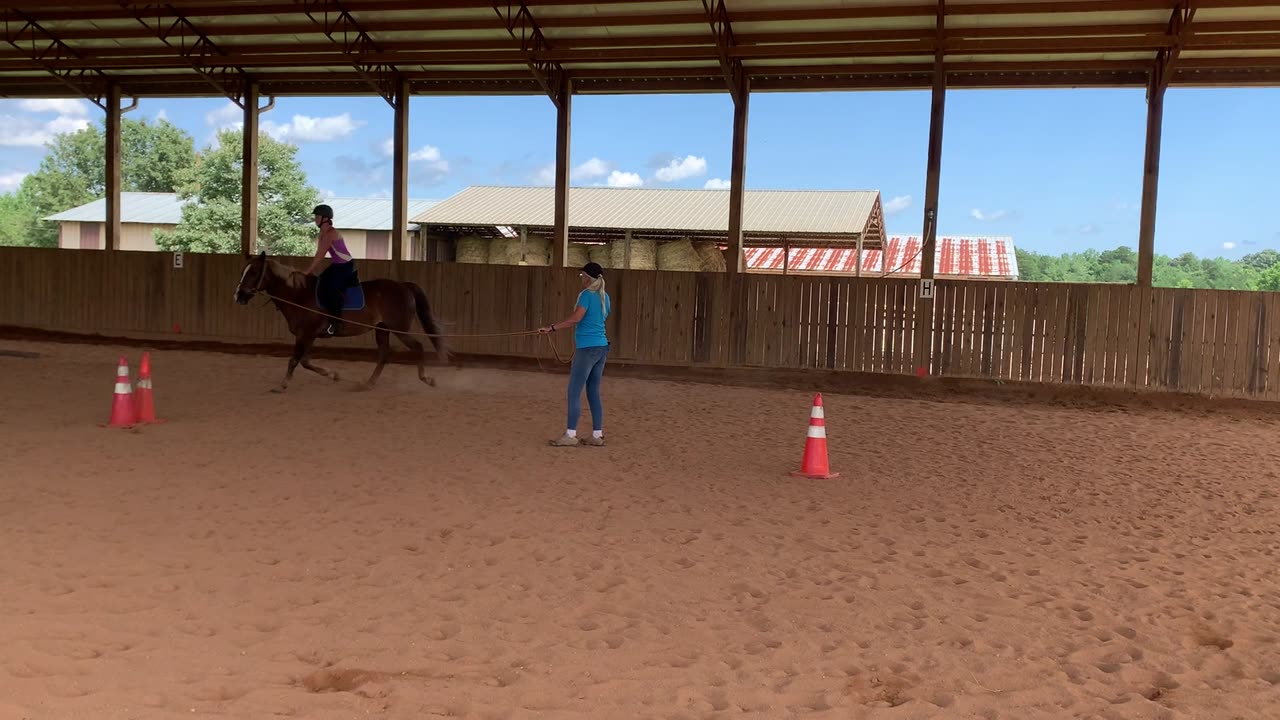 first day posting the trot, English , absolute beginner