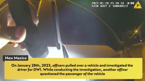 Entitled Drunk Lady Thinks She's Above the Law - Most Uncooperative Passenger