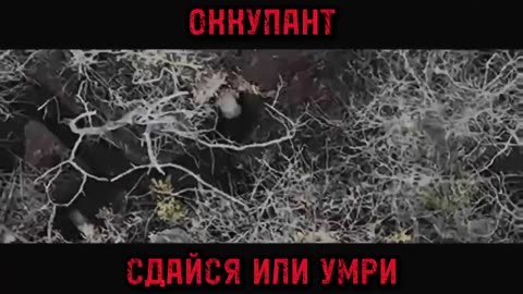 Invaders, surrender or suffer - ZSU complilation "South"
