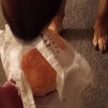 Virgil eats Burger King!