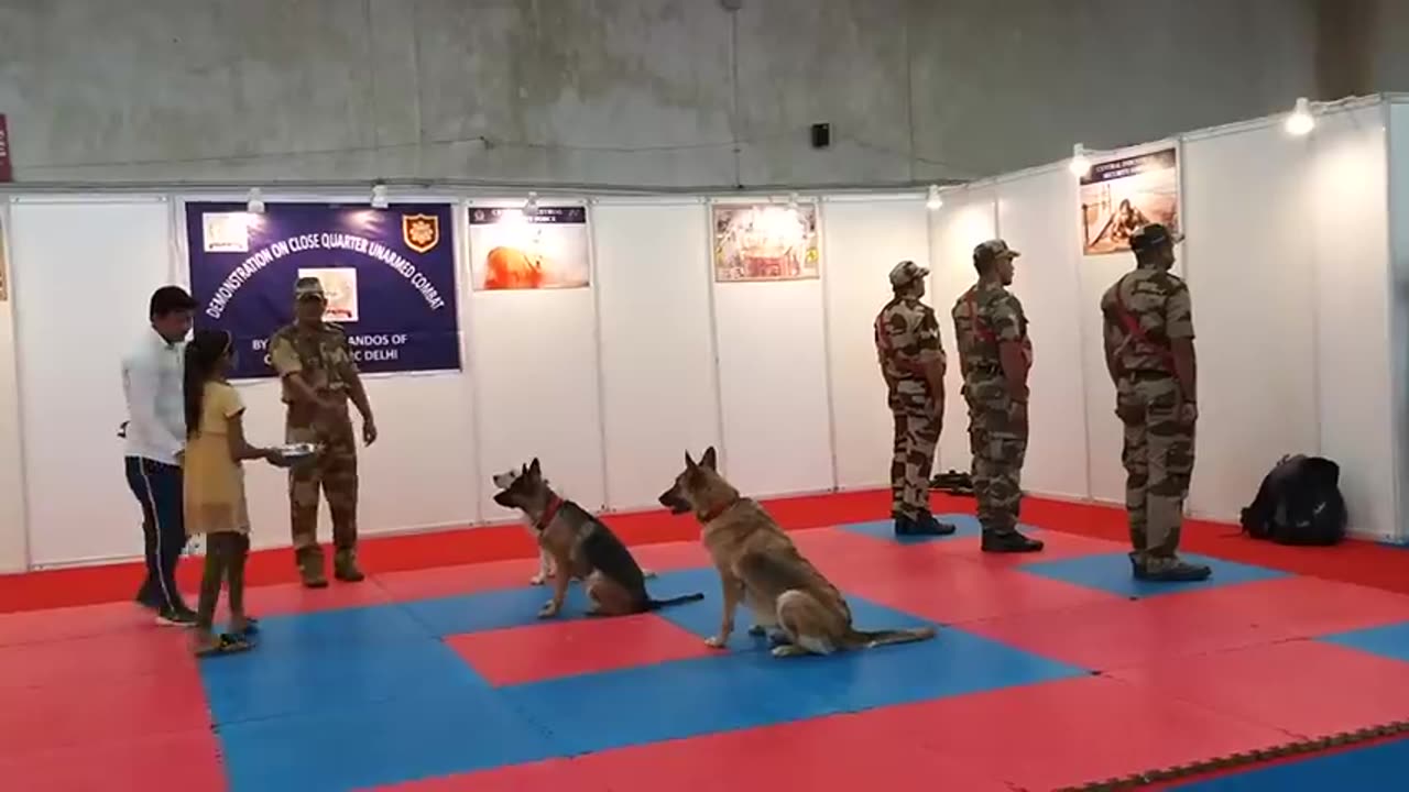 Cisf Army dog 🐕 training full information