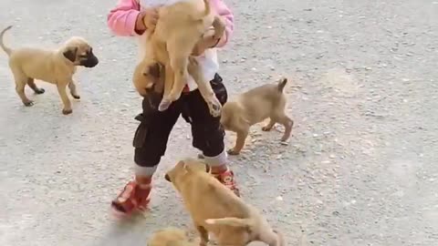 Cute baby play with cute puppies 🐶