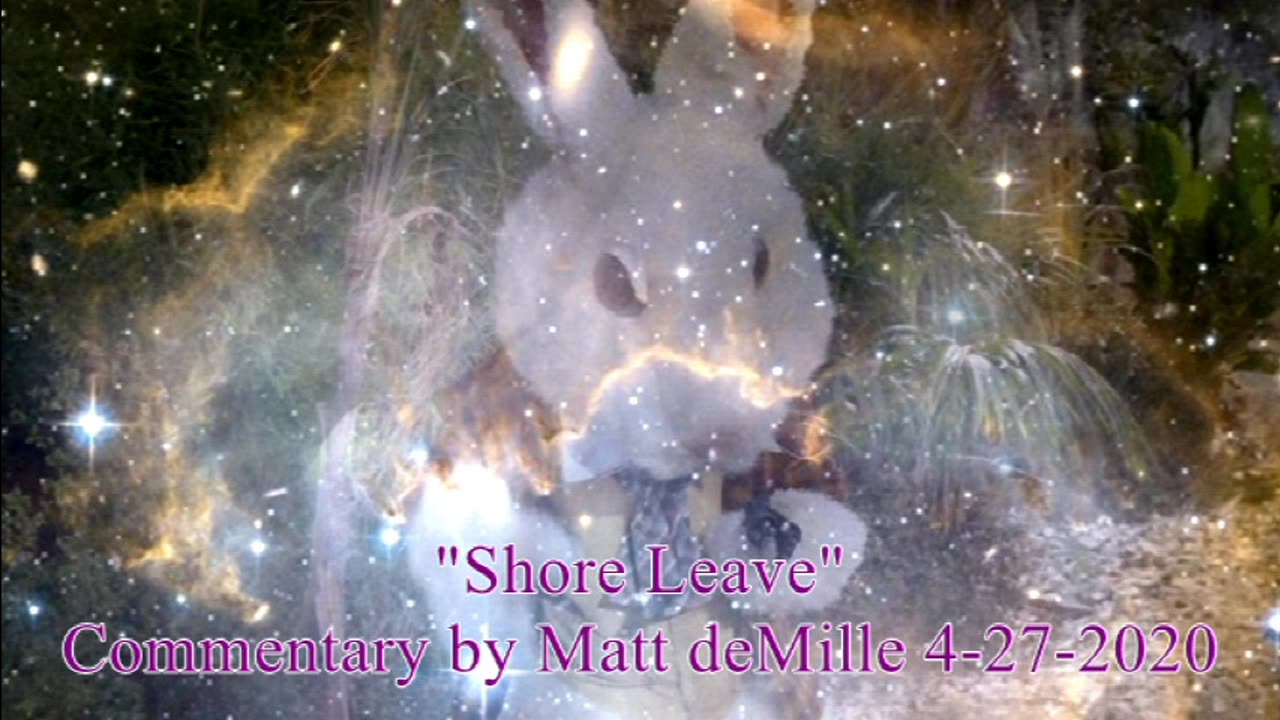 Matt deMille Star Trek Commentary: Shore Leave