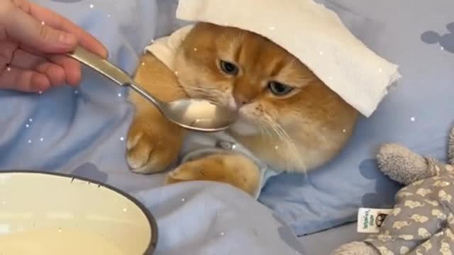 I’m sick.look at me.