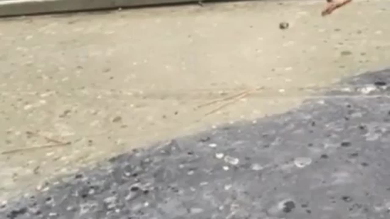 Footage of Massive 155mm Gun Crossing a River