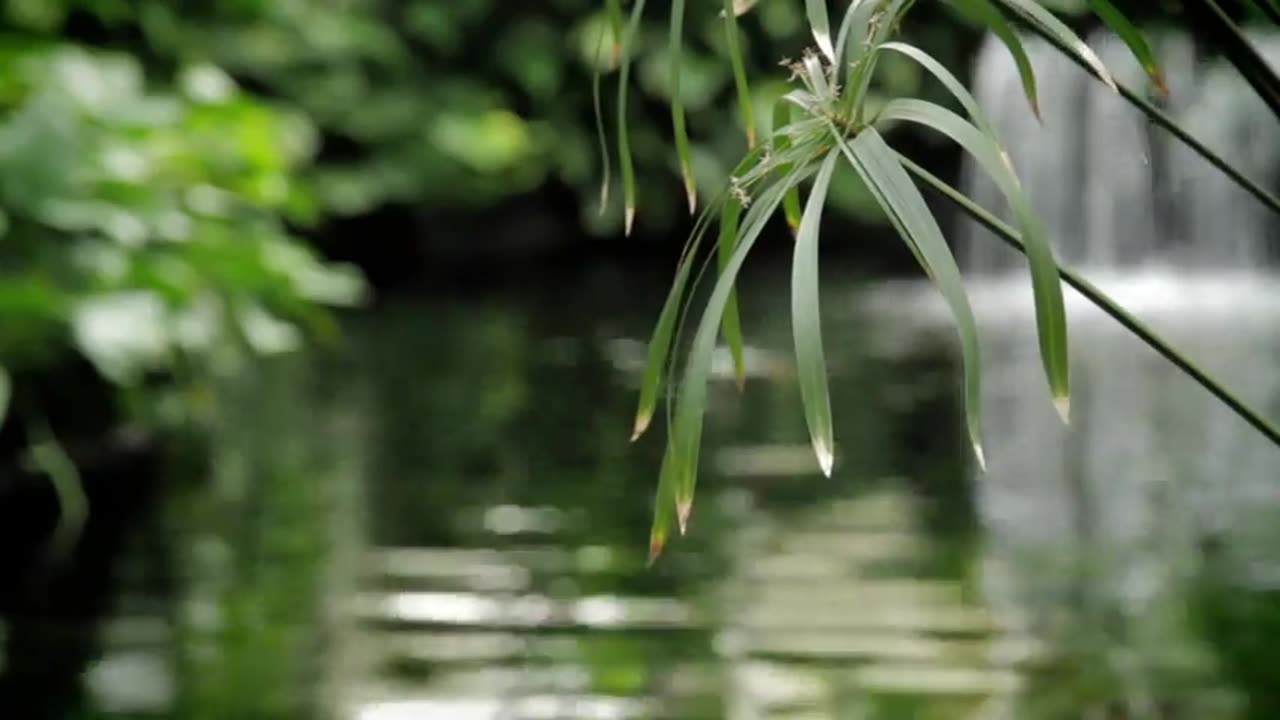 Nature's Serenity: Relaxing River and Waterfall Sounds for Stress Relief