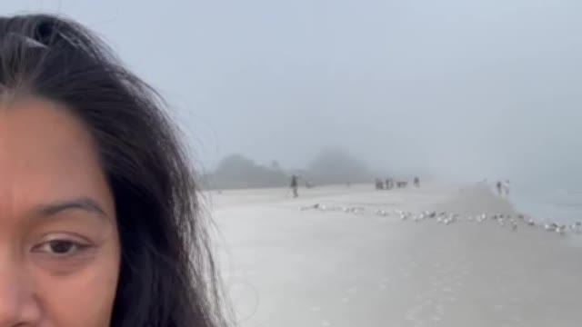 Foggy morning in the beach