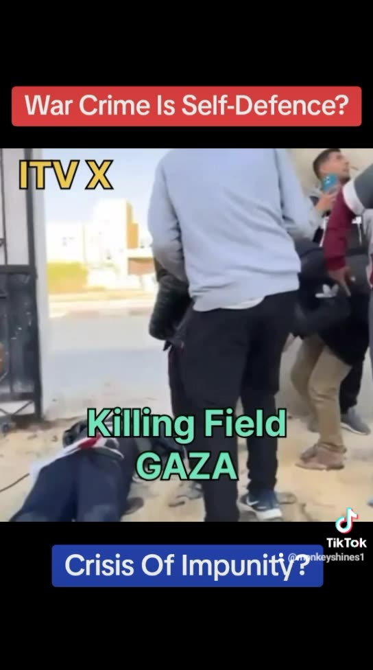 Jewish State's War Crime Filmed