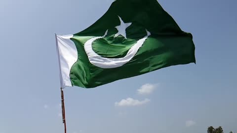 Pakistani Flag