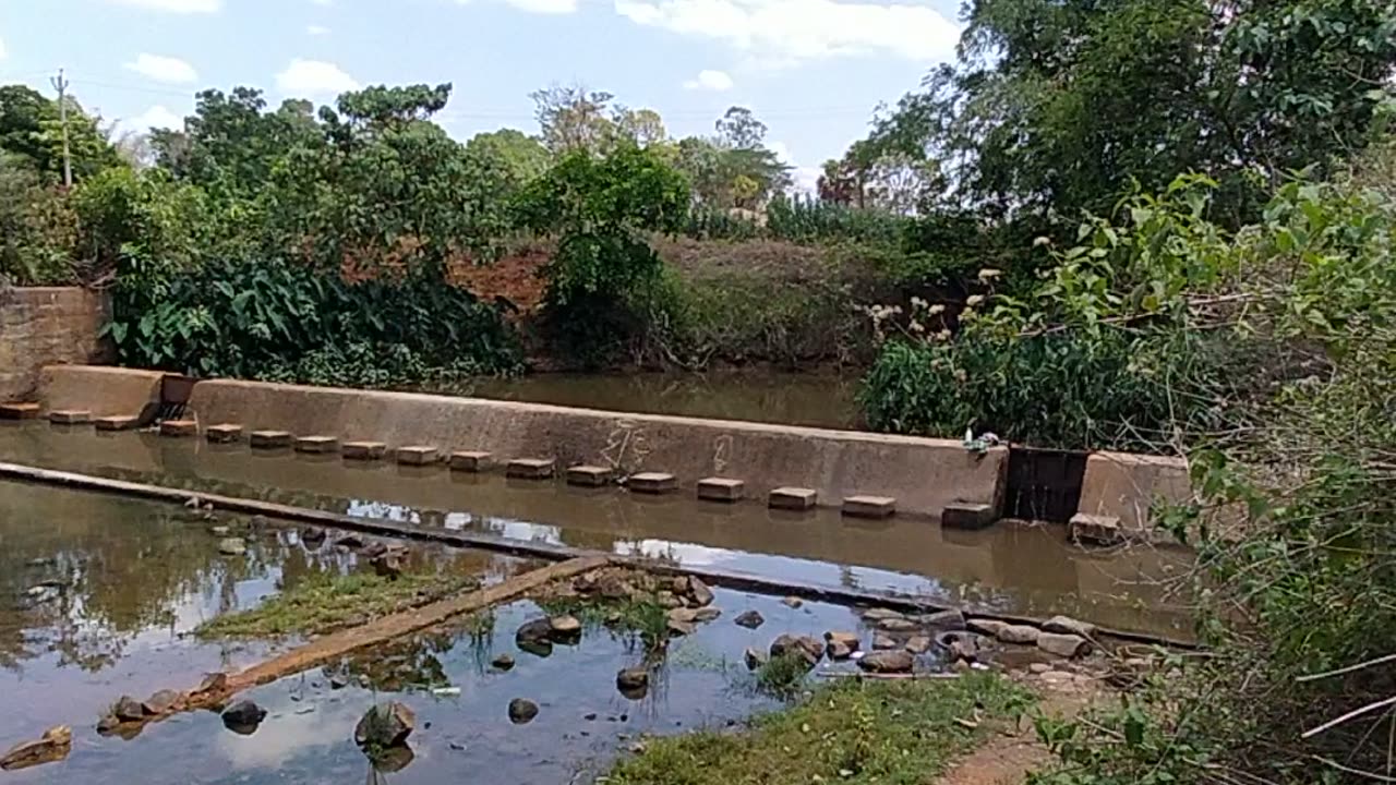Nadi