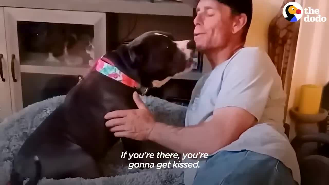 Pittie Couldn't Stop Shaking Until Her Rescuers Finally Give Her A Hug | The Dodo Pittie Nation