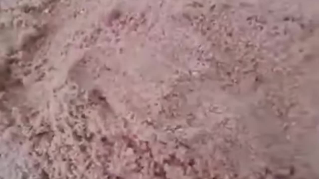 The most beautiful video you will see today!!
