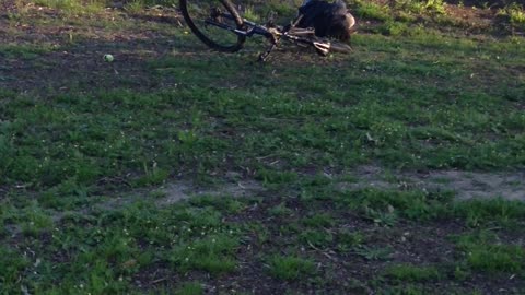 Bike Fail