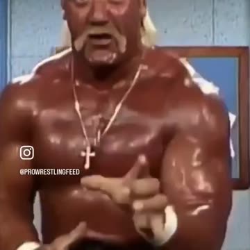 The Hulkster
