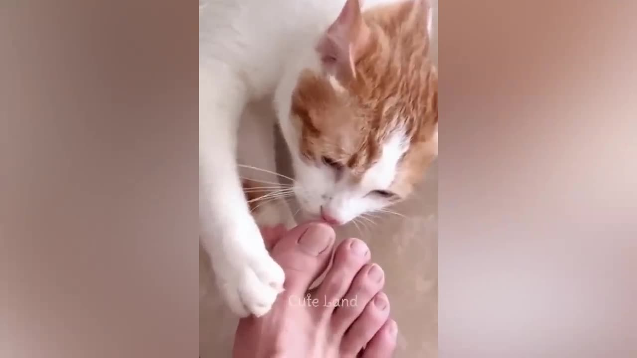 The Sweetest Moments with Our Four-Legged Friends