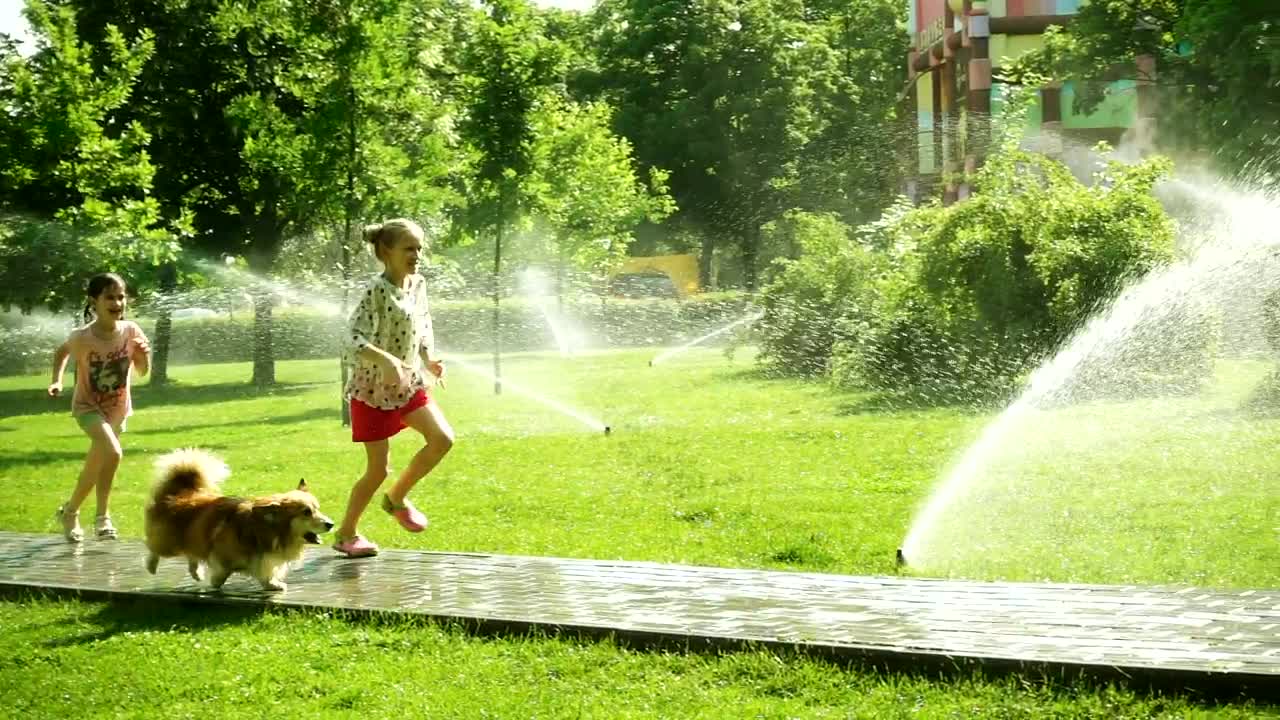 playing with the dog in park