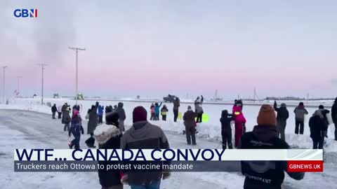 Nigel Farage reacts to the Canada convoy which has reached Ottawa protesting the vaccine mandate