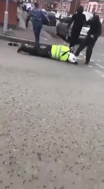 ZOG bot gets taste of cultural enrichment from same feral invaders his jewish masters are importing