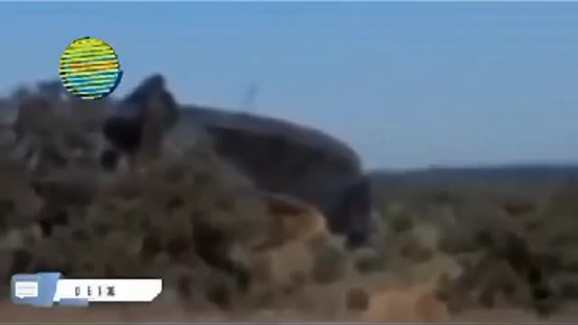 THIS WAS FILMED IN CEARA (BRAZIL) UFO WALKING IN THE FIELD