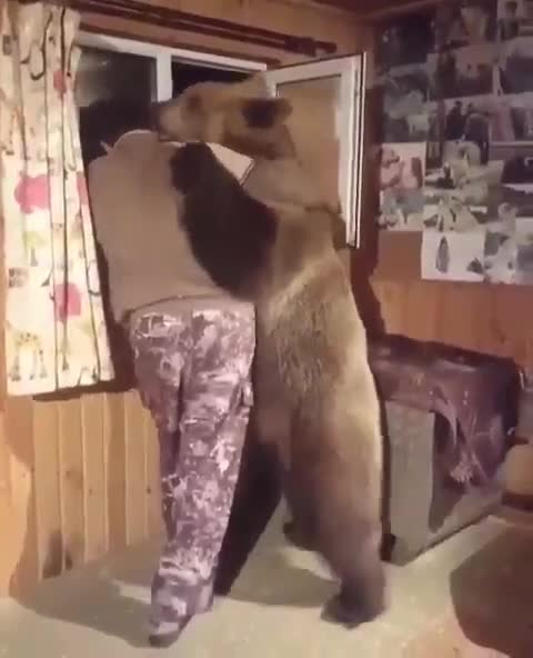 Incroyable mais vrai