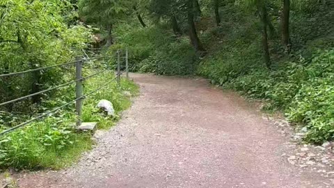 Pine line track/ Nathia gali