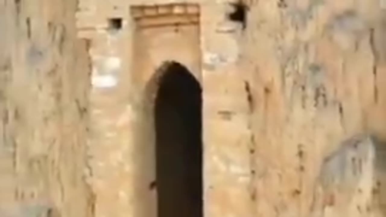 IS THIS SOME KIND OF A PORTAL