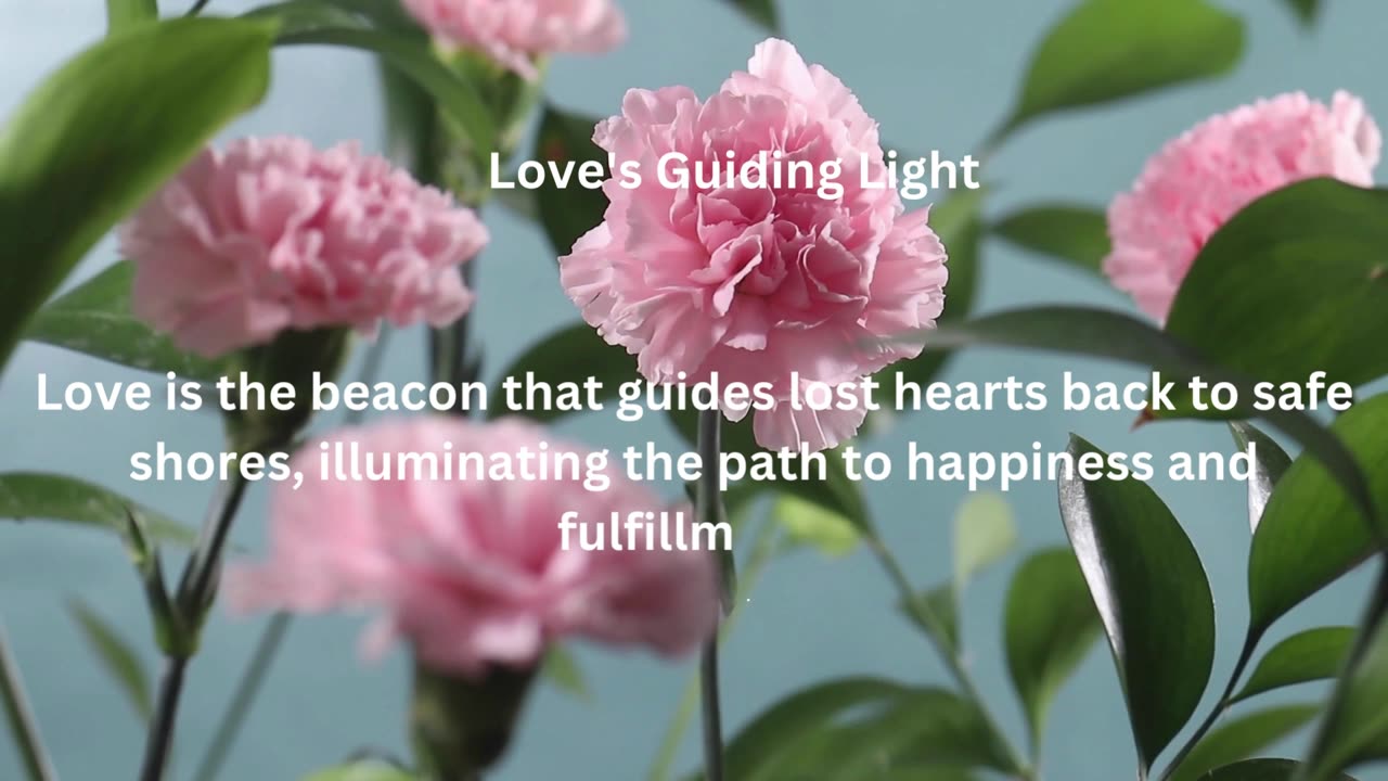 Love is guides