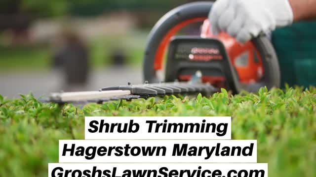 Shrub Trimming Hagerstown Maryland Landscaper The Best