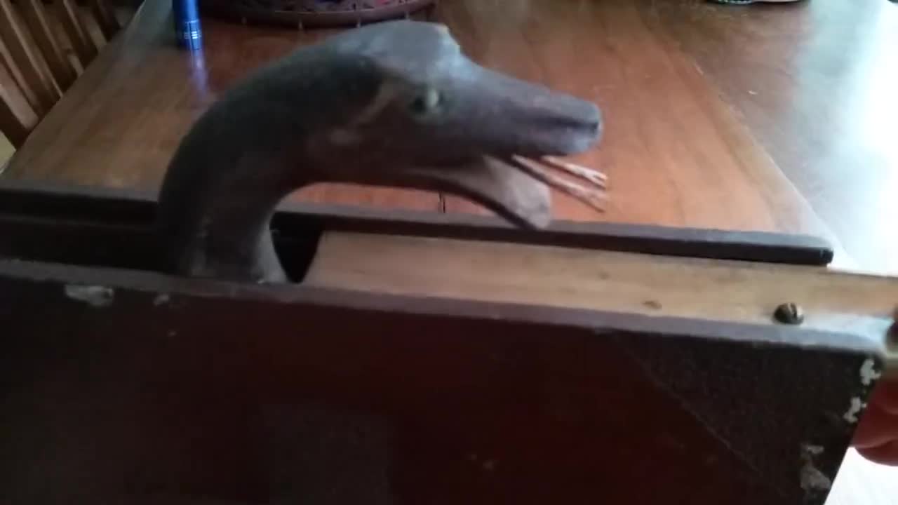 There's a Snake in my Book