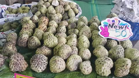 Very Big Custard Apples